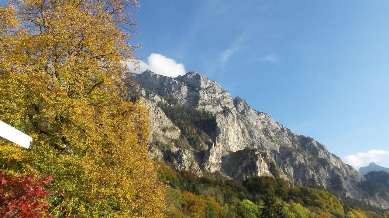 Wolfis Traunseeblick - Mit Kostenlosem Parkplatz Direkt An Der Unterkunft Gmunden Exterior photo
